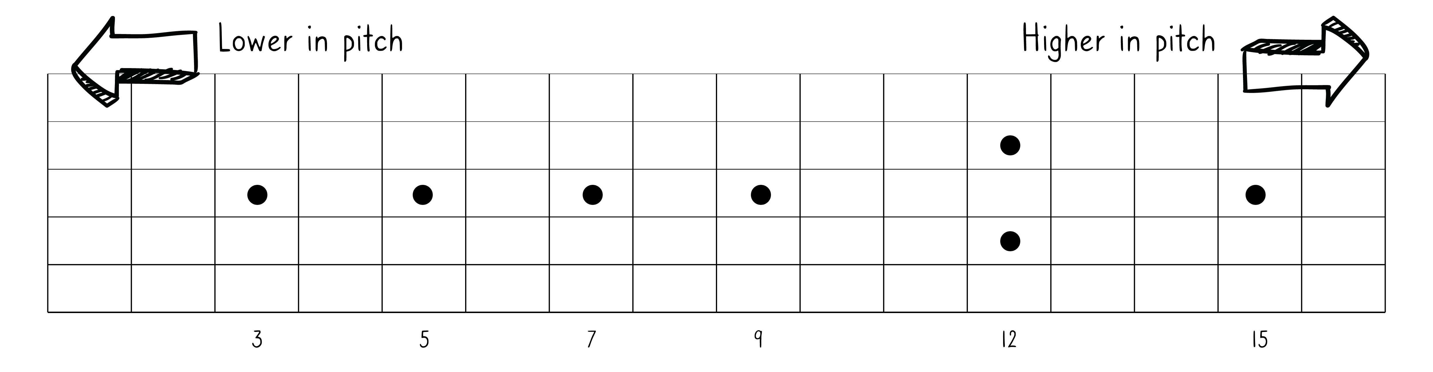 A fretboard showing that pitch rises as fret numbers increase toward the instrument body
